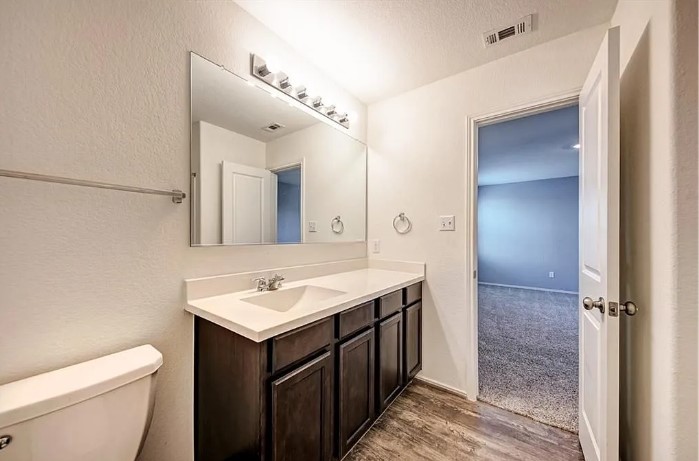 817 Circle Way, Unit 7I Jarrell, TX 76537 - Photo 19 of 33 Half bath featuring vanity, dark wood-type flooring, and a textured wall