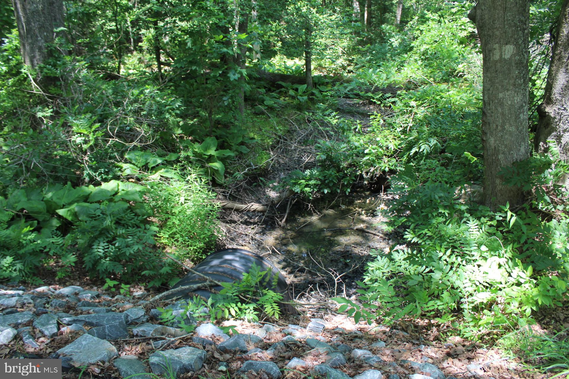 Lot 3 Jackson Road Salisbury, MD 21804 - Photo 14 of 20