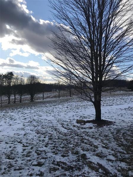 322 Cornetti Road Fenelton, PA 16034 - Photo 14 of 14 Gallery Image 14
