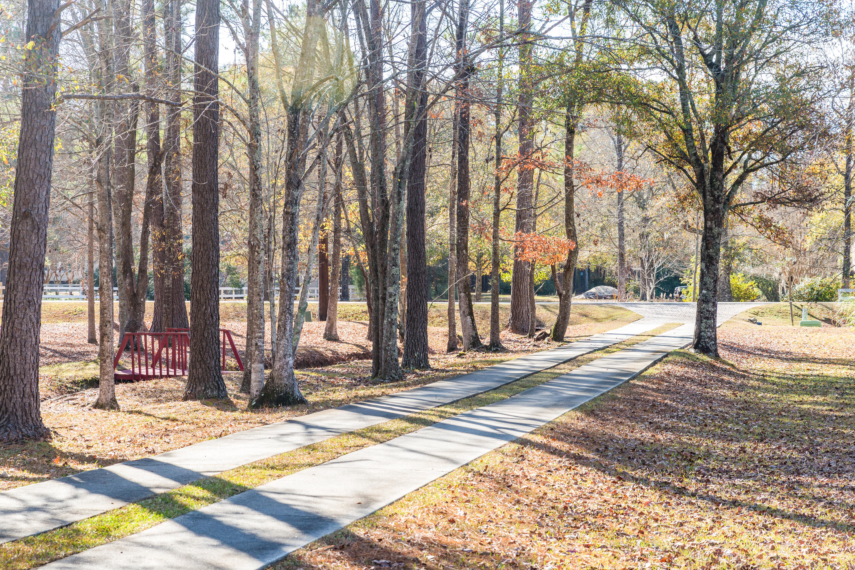 1186 Witherbee Road Moncks Corner, SC 29461 - Photo 41 of 43 Peaceful