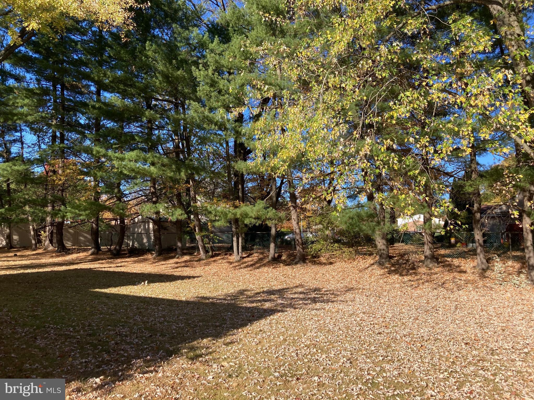 227 Brookdale Drive Huntingdon Valley, PA 19006 - Photo 6 of 42 Gallery Image 6