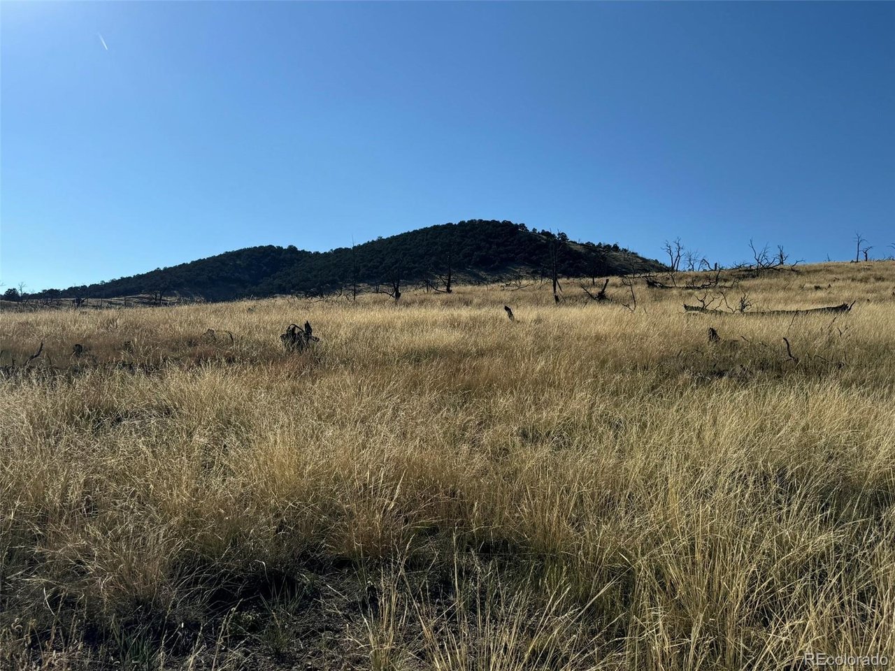 48 Copper Gulch Road Cotopaxi, CO 81223 - Photo 22 of 43
