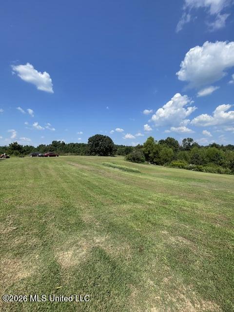 95 Squirrel Hollow Road Holly Springs, MS 38635 - Photo 24 of 31 IMG_5688