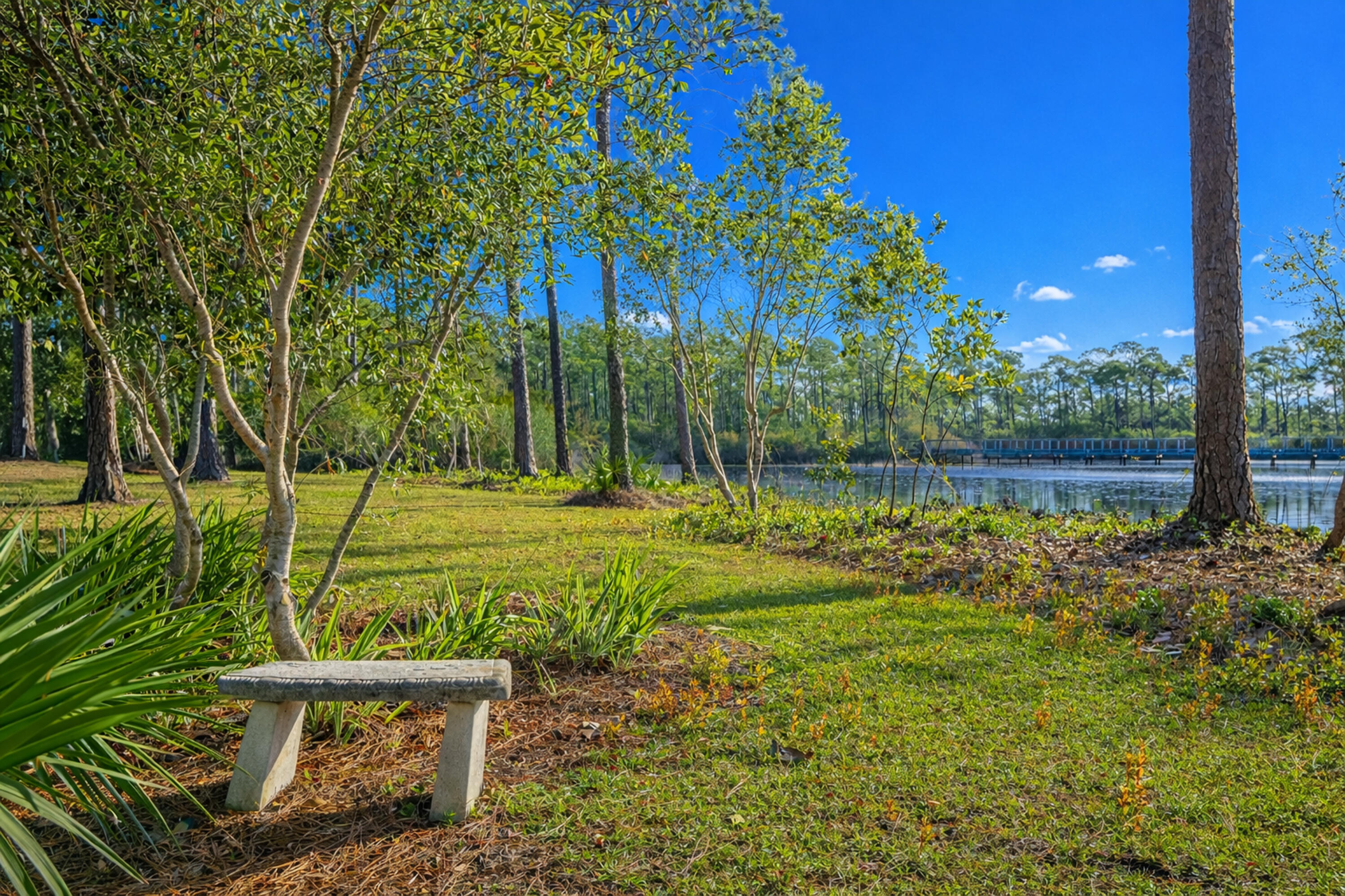 10 Mar-A-Lago Boulevard, Unit 14 Santa Rosa Beach, FL 32459 - Photo 39 of 47 a view of a park with large trees
