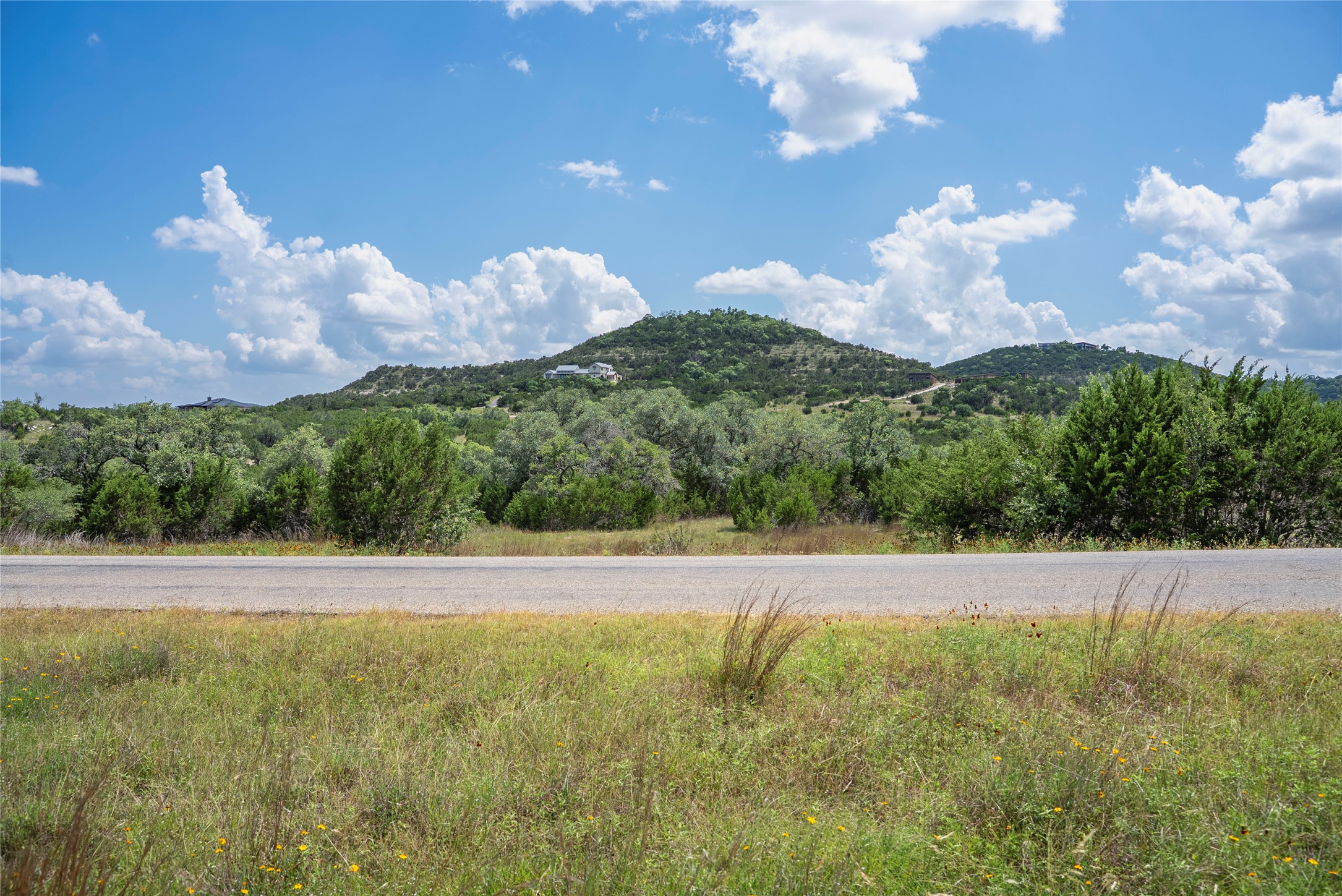 717 Bluff Ridge Trail Blanco, TX 78606 - Photo 13 of 21 A tranquil, verdant landscape with rolling hills, offering a serene escape.