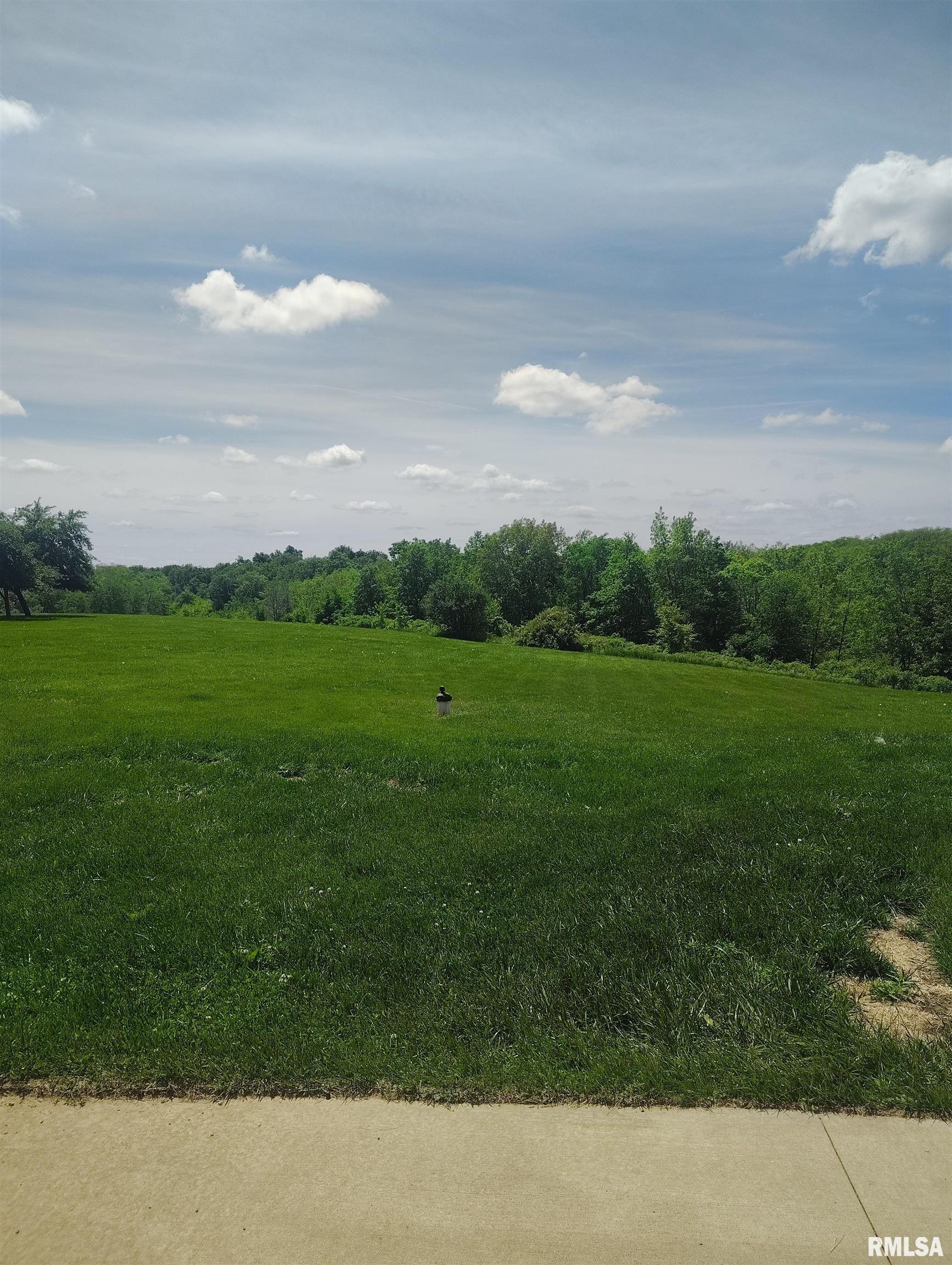 30720 North Norris Blacktop Road Farmington, IL 61531 - Photo 8 of 94