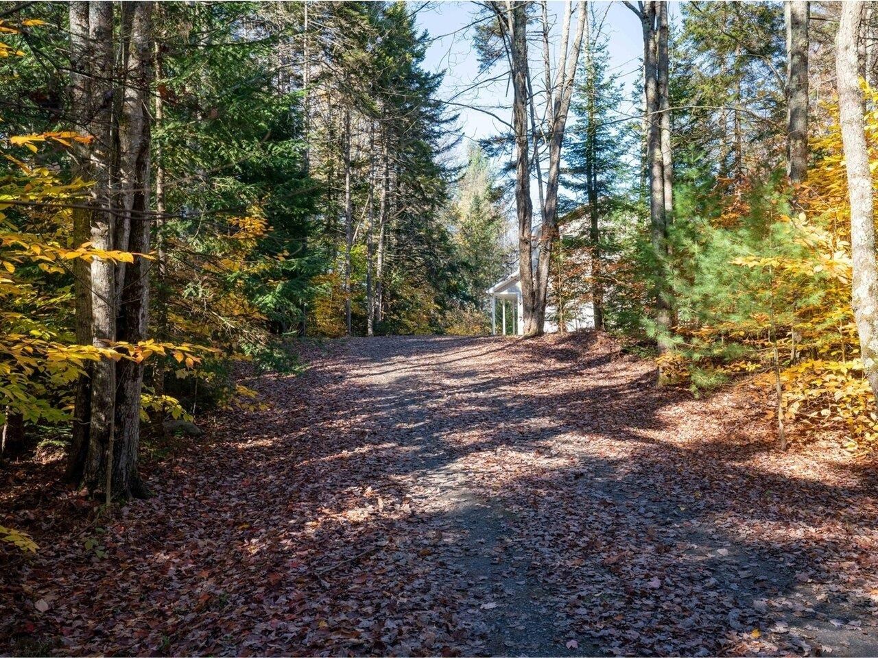 858 Worcester Loop Stowe, VT 05672 - Photo 6 of 40 Gallery Image 6