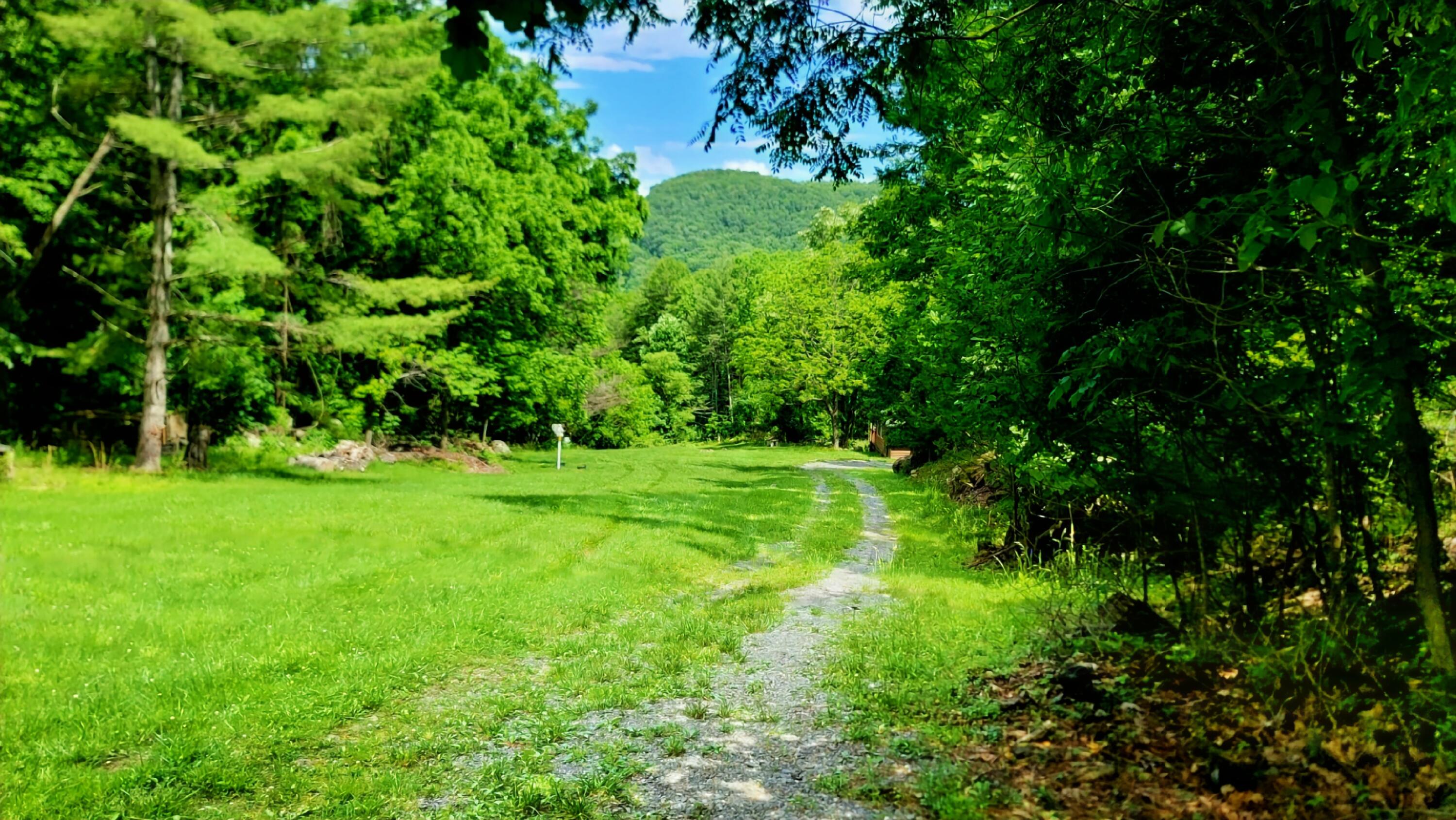 927 Bluestone River Road Jumping Branch, WV 25969 - Photo 15 of 70 Gallery Image 15