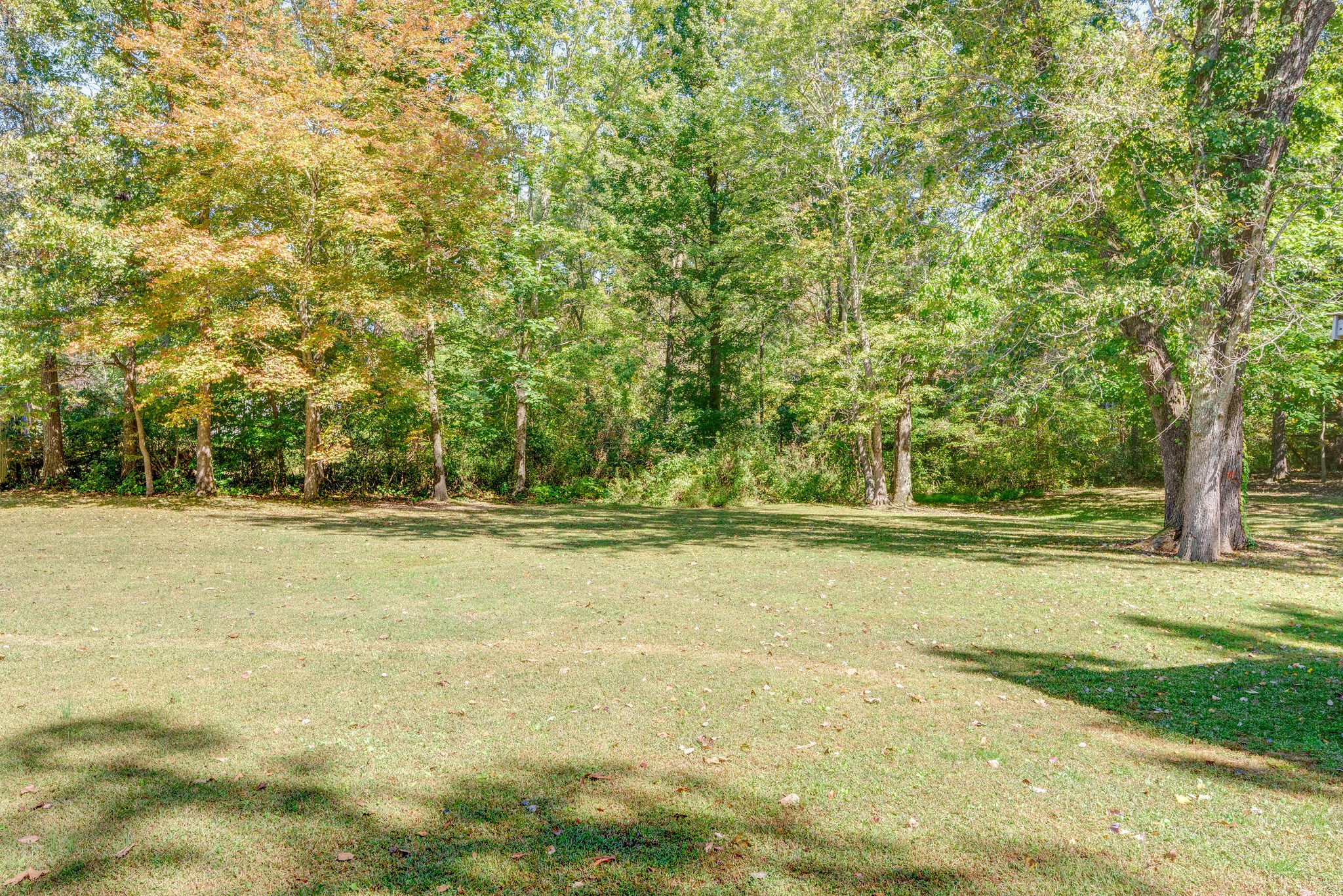 176 Duke Road Dickson, TN 37055 - Photo 24 of 26 a view of yard with green space and trees