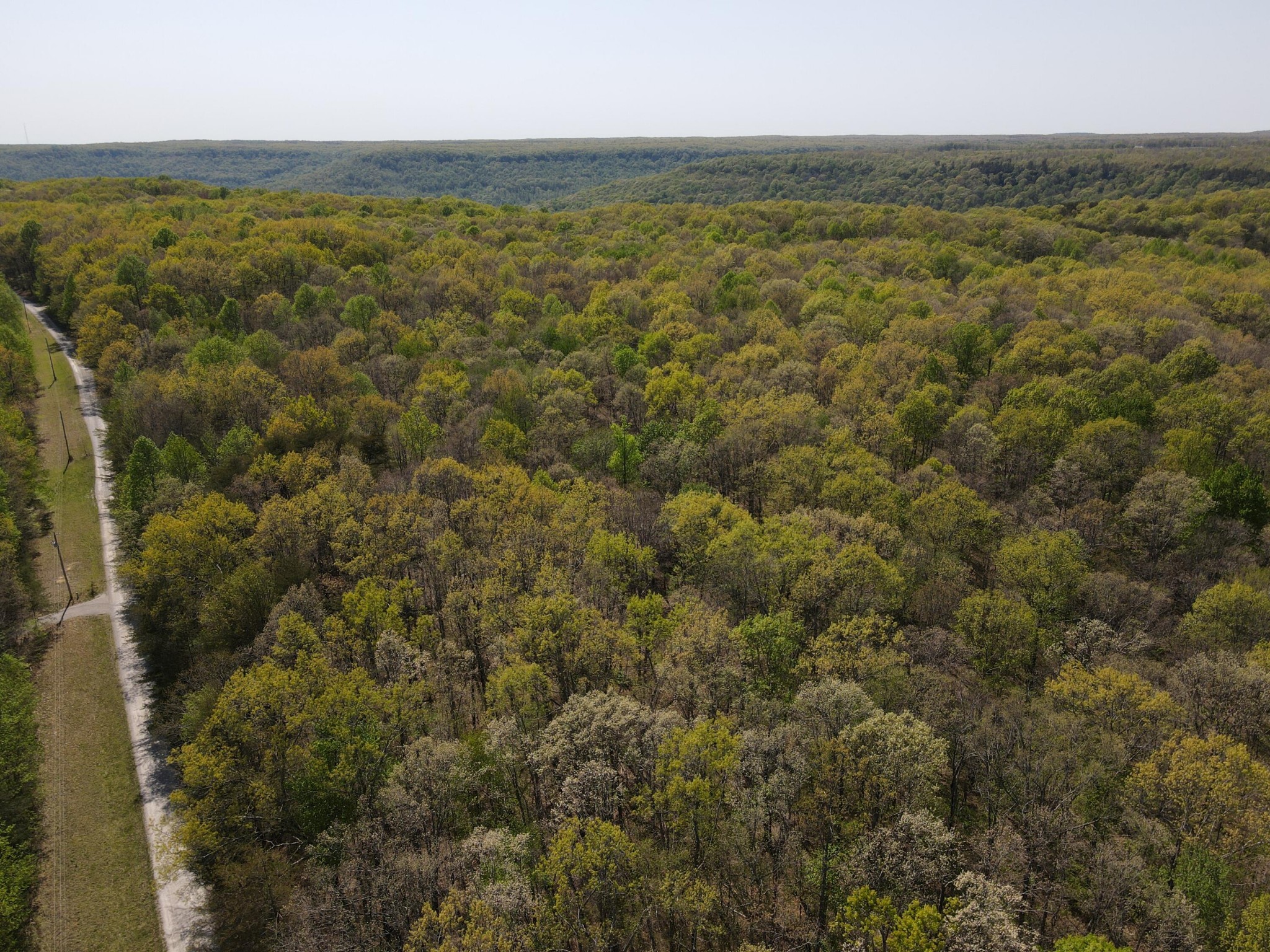 60 Hideaway Cabin Road Altamont, TN 37301 - Photo 11 of 31 Gallery Image 11