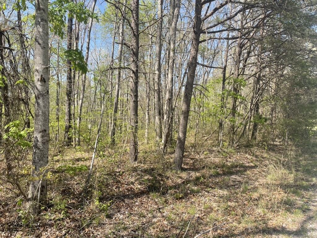 60 Hideaway Cabin Road Altamont, TN 37301 - Photo 26 of 31 Gallery Image 26