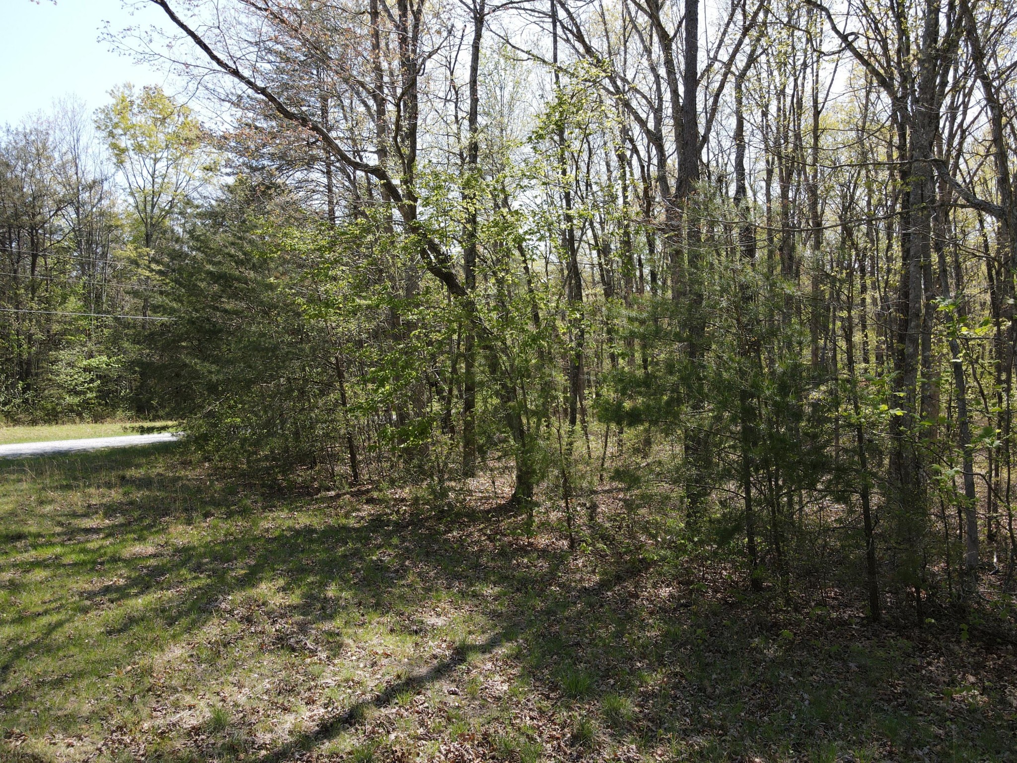60 Hideaway Cabin Road Altamont, TN 37301 - Photo 3 of 31 Gallery Image 3