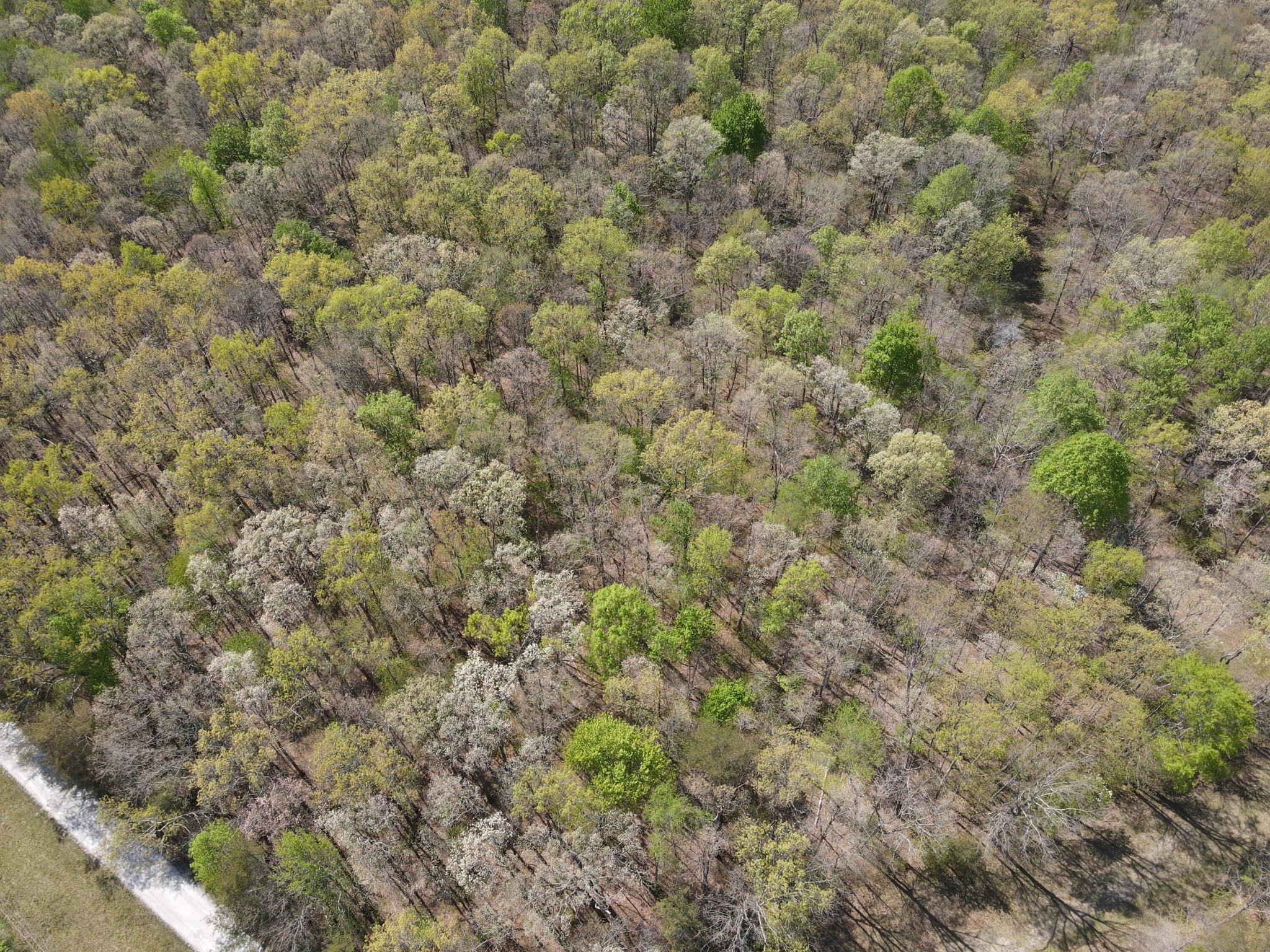 60 Hideaway Cabin Road Altamont, TN 37301 - Photo 8 of 31 Gallery Image 8