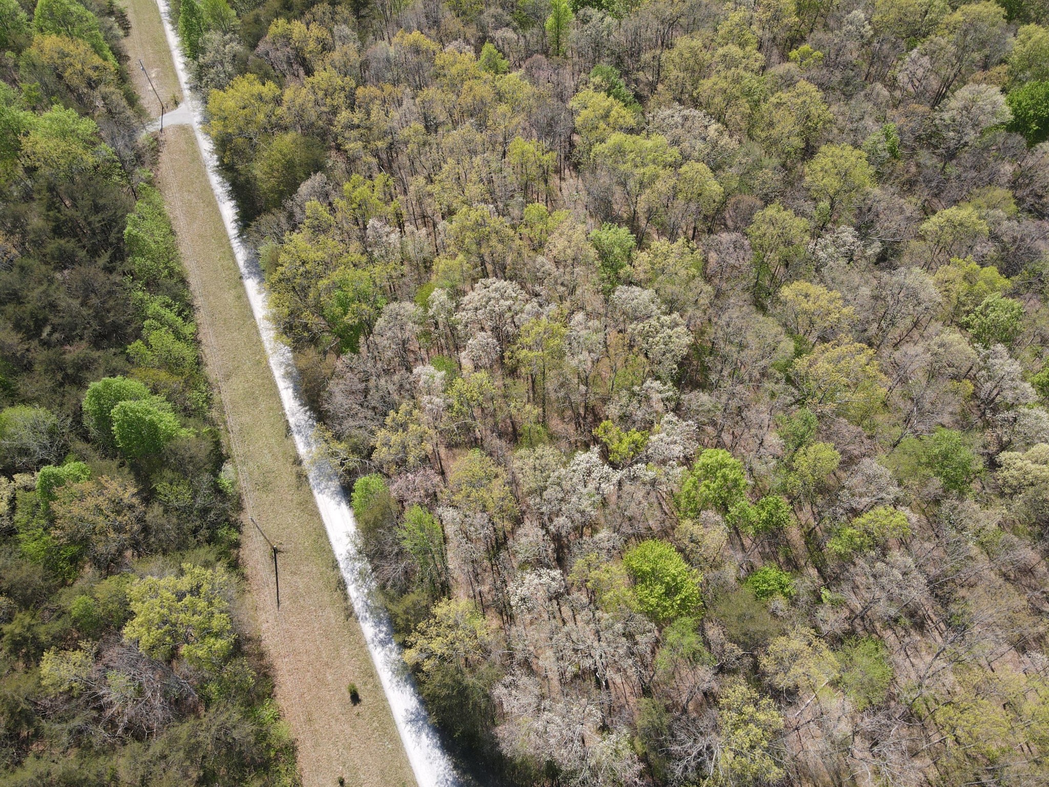60 Hideaway Cabin Road Altamont, TN 37301 - Photo 9 of 31 Gallery Image 9
