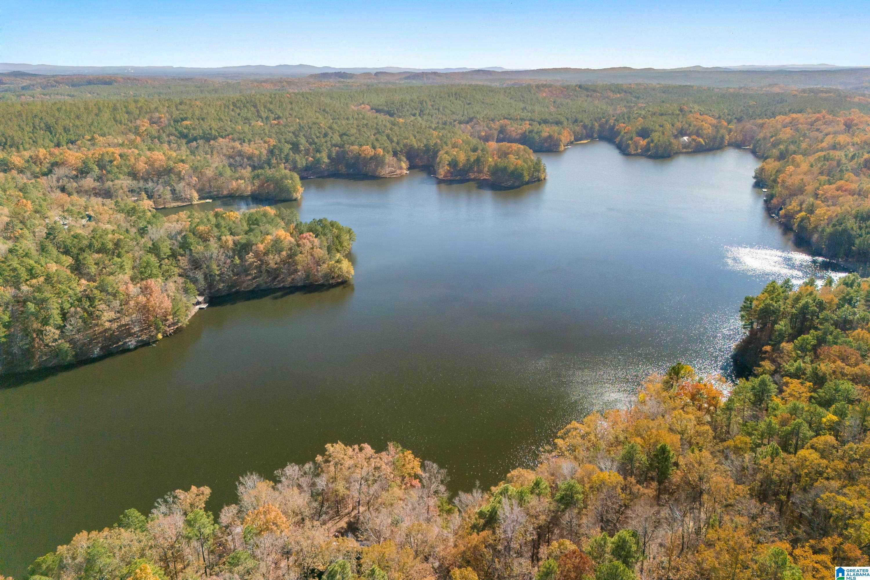 0 Pumpkin Hollow Road Sterrett, AL 35147 - Photo 45 of 55