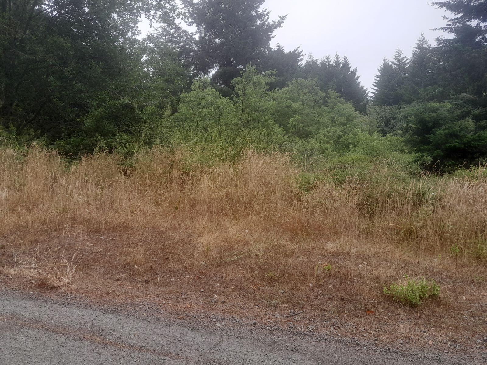 167 Spring Road Whitethorn, CA 95589 - Photo 1 of 9