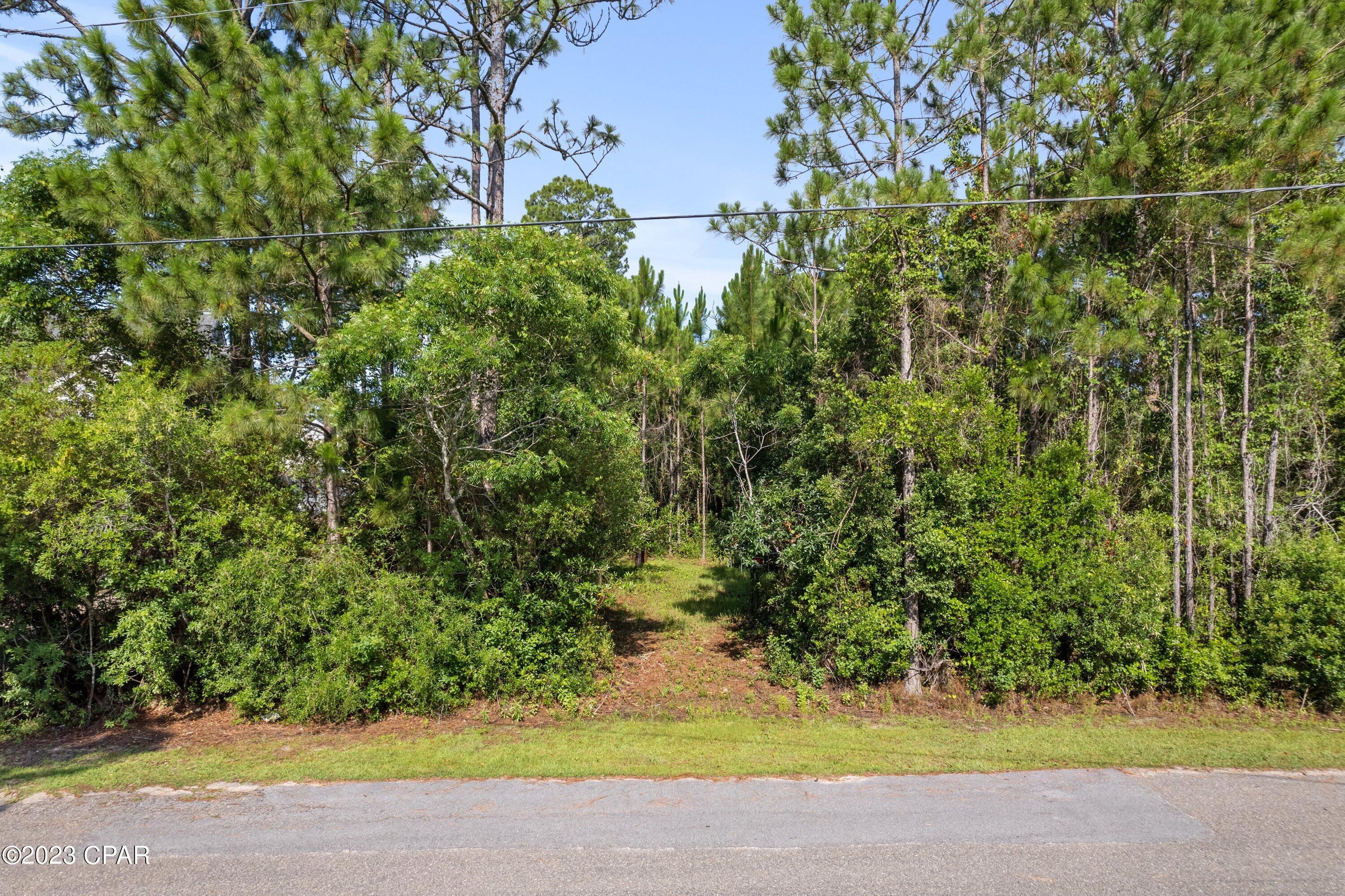 Lot 6 Pisces Drive Santa Rosa Beach, FL 32459 - Photo 1 of 8