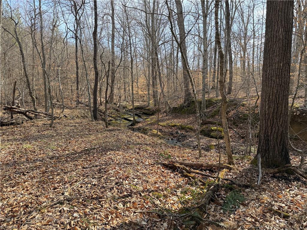 1200 Purcell Road Reidsville, NC 27320 - Photo 8 of 50