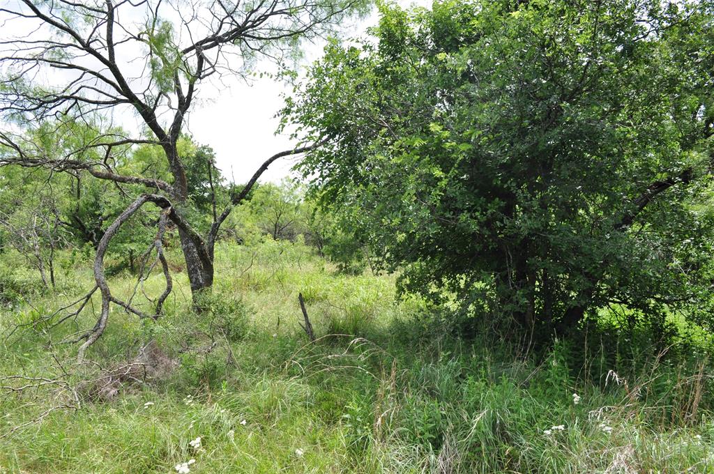 1849 2 Bush Road Perrin, TX 76486 - Photo 32 of 40