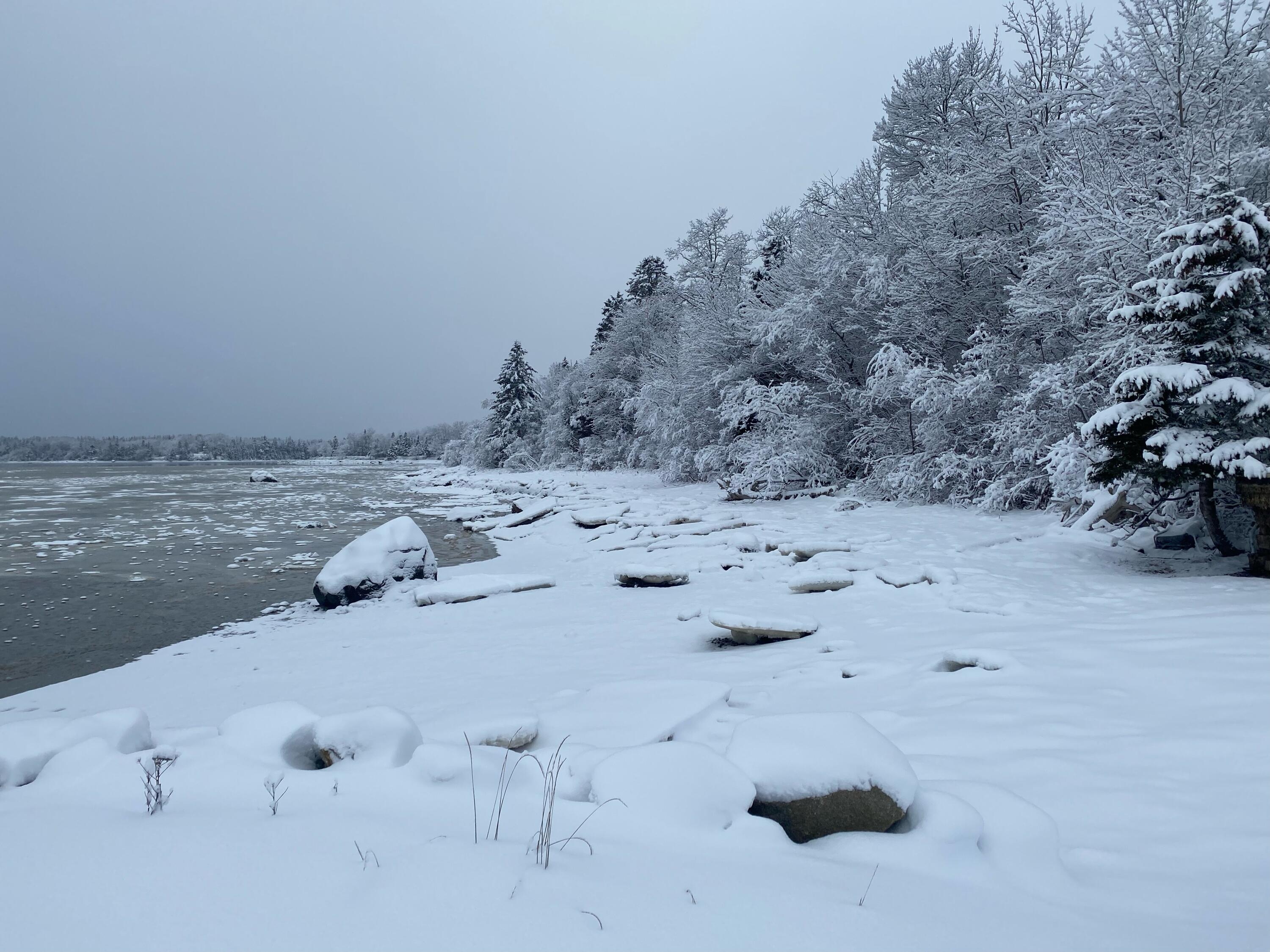 33 Landing Road Steuben, ME 04680 - Photo 63 of 64 Winter Scenery