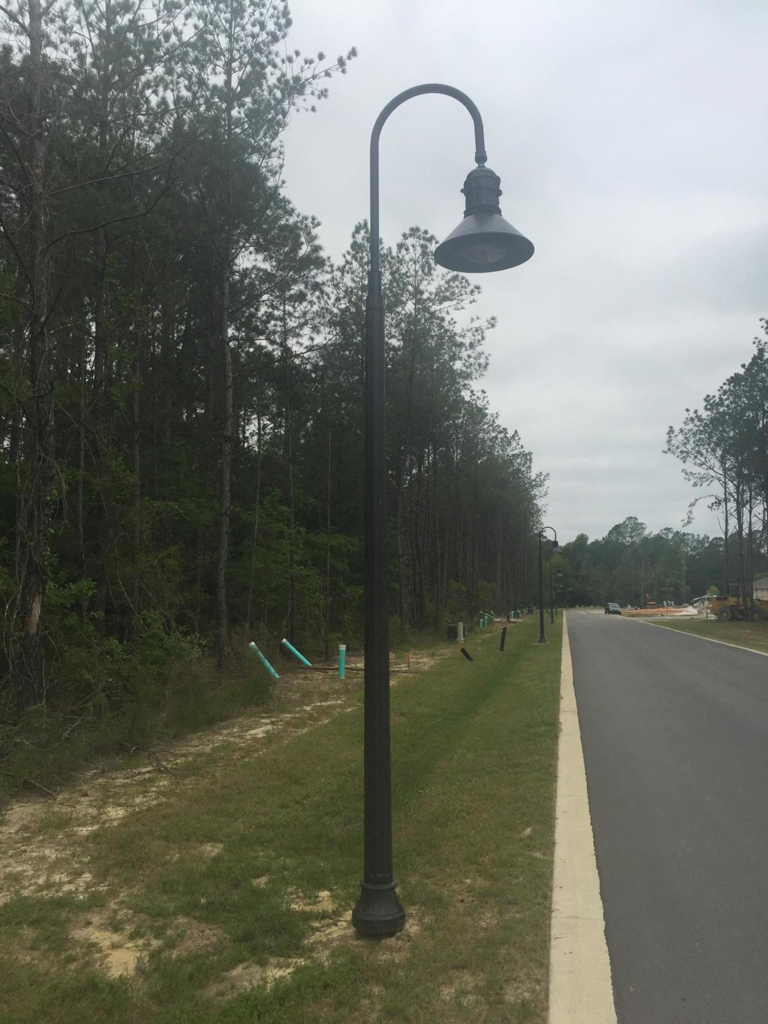 152 Brandywine Road Freeport, FL 32439 - Photo 5 of 5 Subdivision Street lights