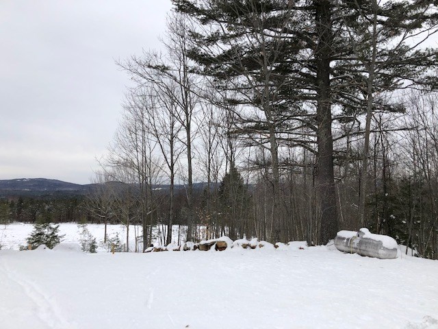47 Effingham Road Ossipee, NH 03864 - Photo 8 of 26 Gallery Image 8