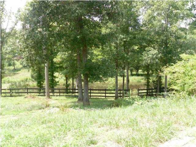 795 Carter Road Southeast Cleveland, TN 37323 - Photo 3 of 25 Additional Photo