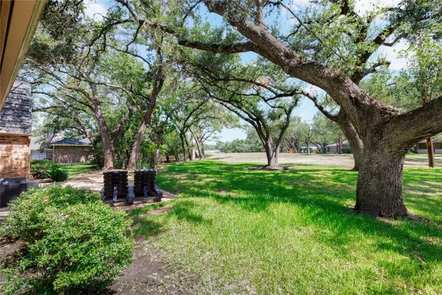 a view of a garden with a tree