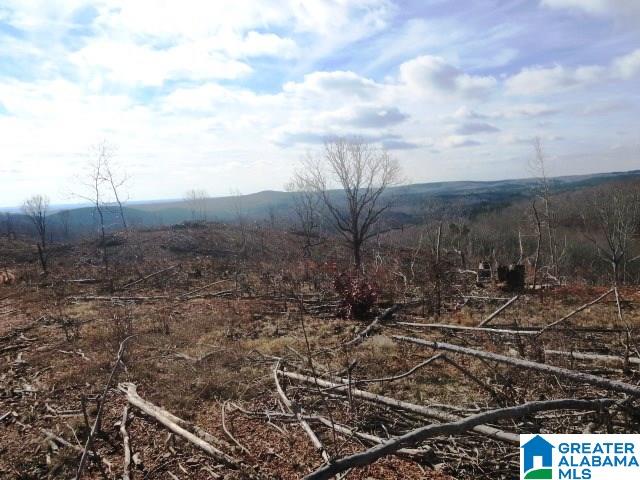 641 County Road, Unit 80 Ranburne, AL 36273 - Photo 6 of 7
