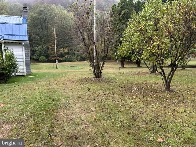 a view of backyard with tree