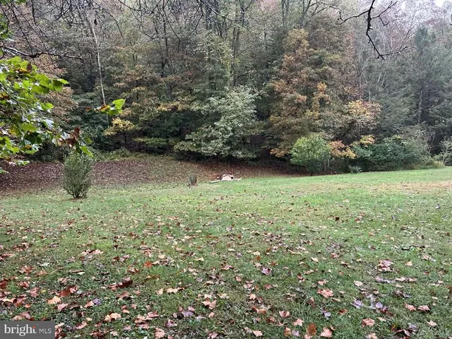 a view of yard with green space
