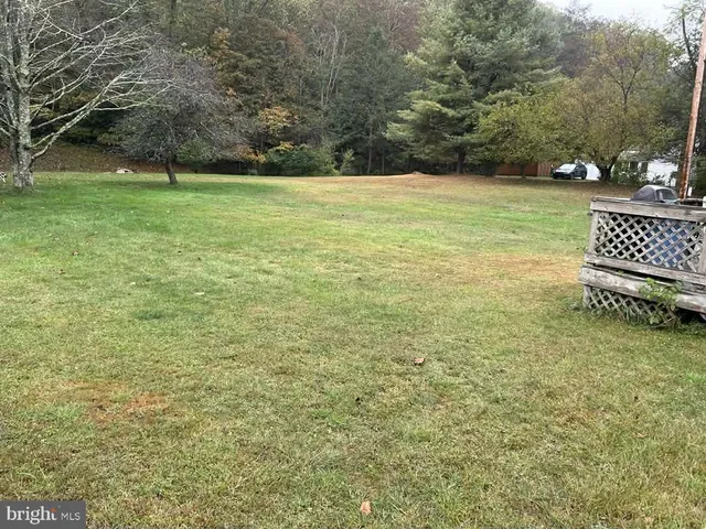 a view of a field with an trees