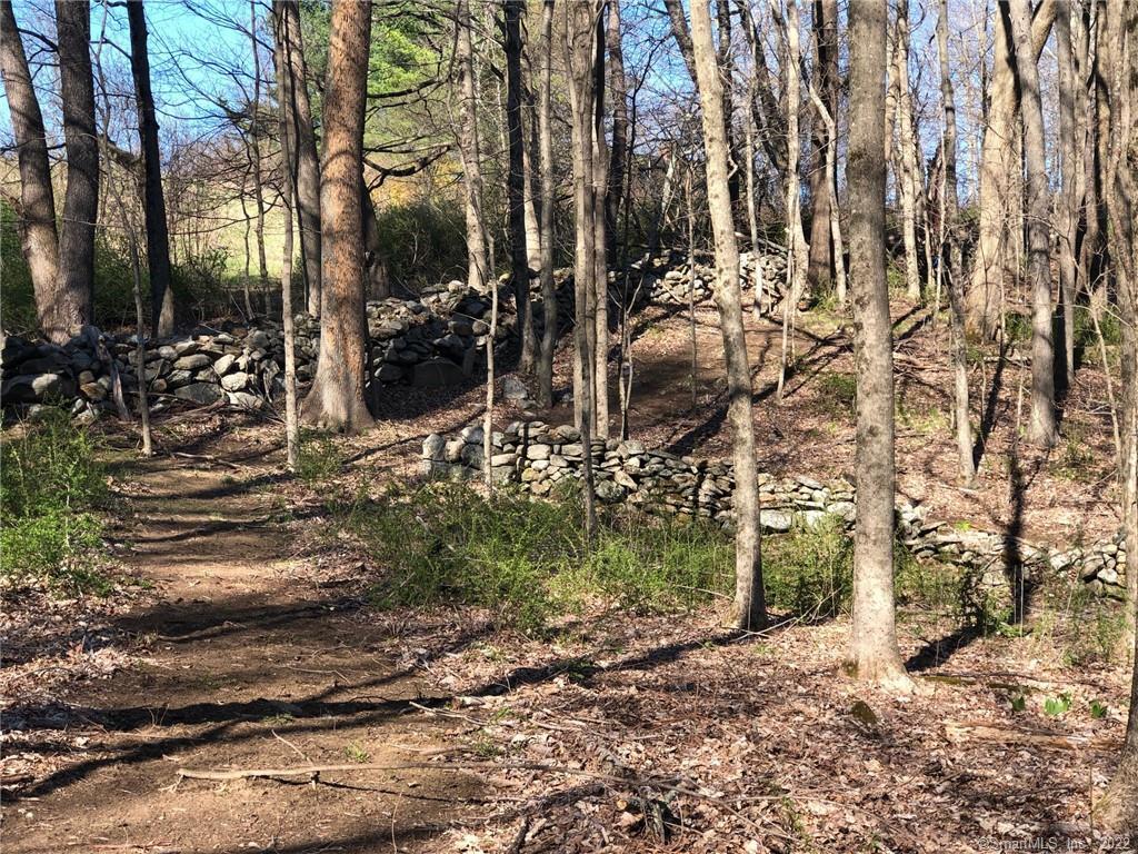 0 Barberry Hill Road Sharon, CT 06069 - Photo 1 of 1