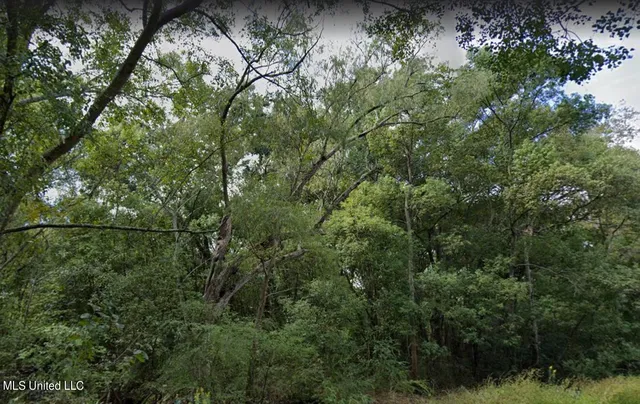 $3,000 | 0 Dye Avenue, Moss Point, MS 39563