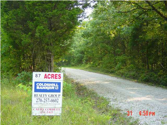 0 East Earl Moorman Road Falls Of Rough, KY 40119 - Photo 1 of 1 Primary Photo