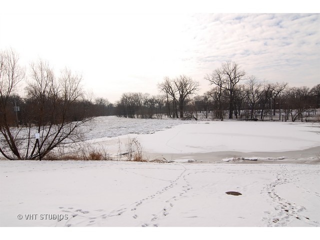 229 Blackhawk Road Riverside, IL 60546 - Photo 21 of 25 a view of a dry yard with trees in the background