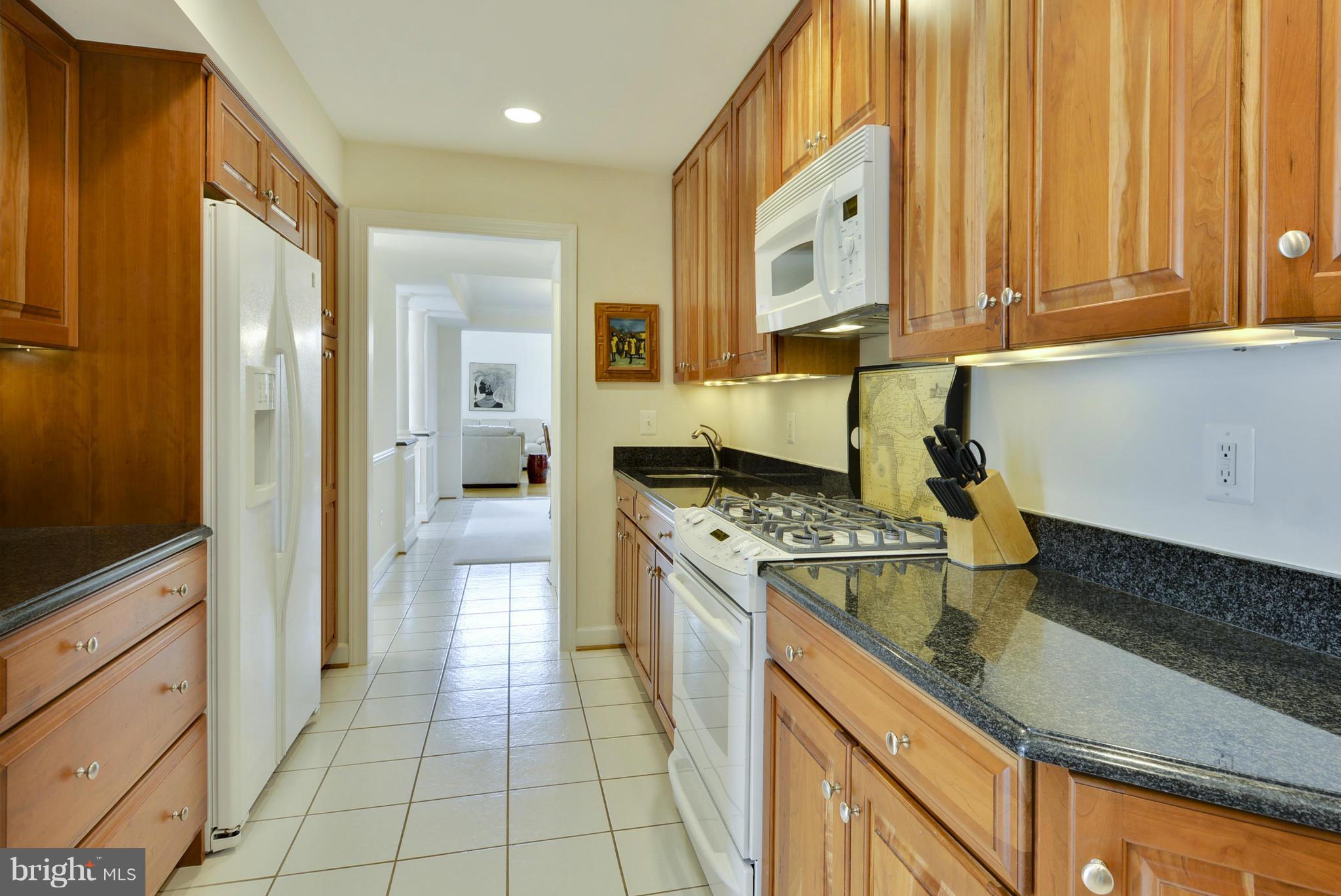 6432 Rives Court Springfield, VA 22150 - Photo 6 of 27 Kitchen