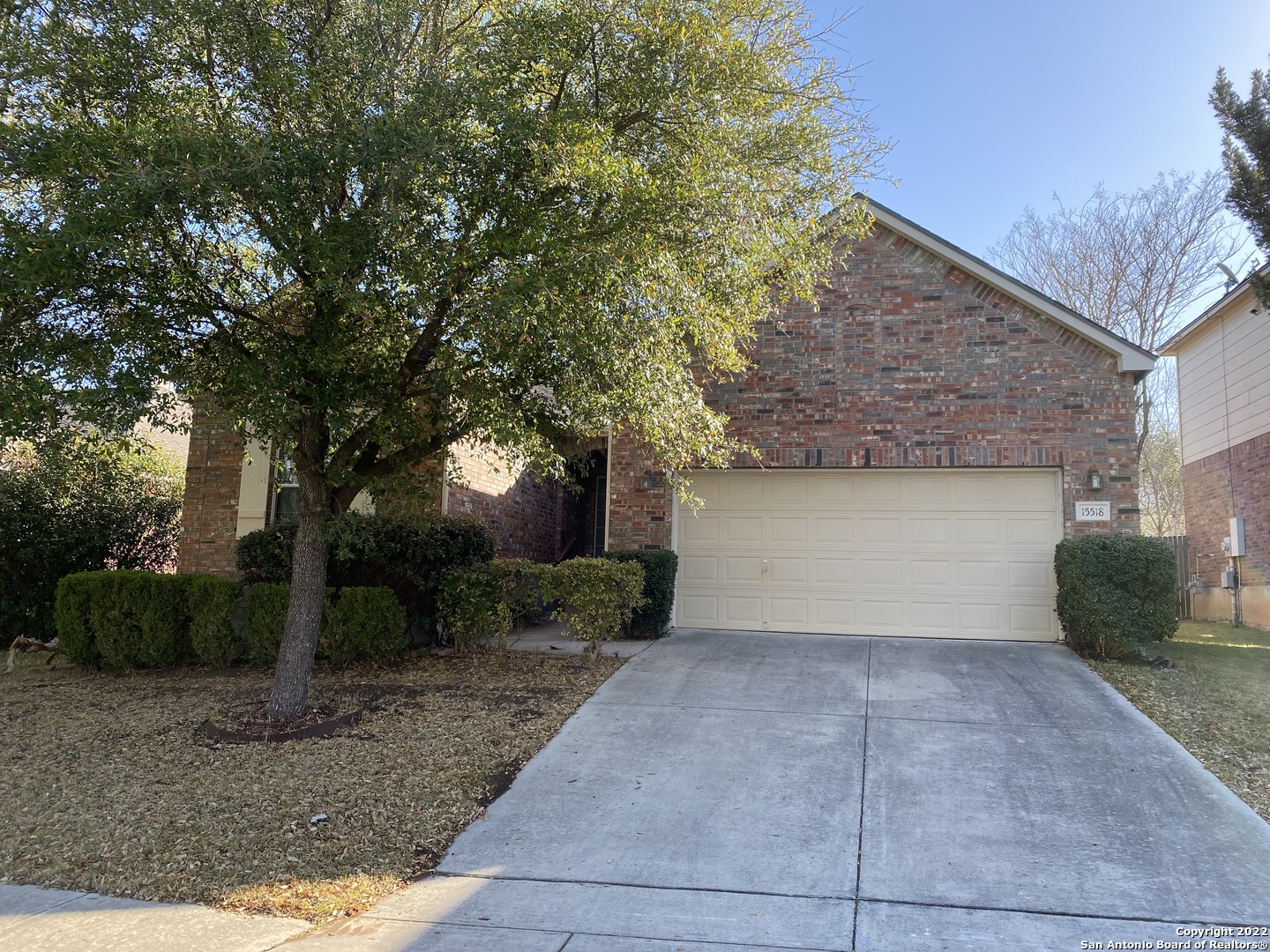 a view of a garage with plants and a large tree