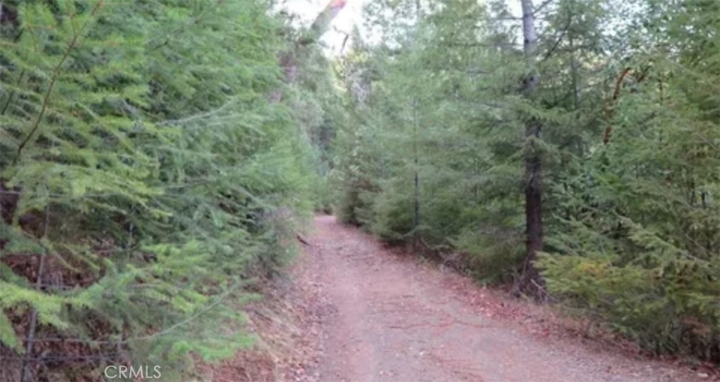 34530 Etsel Ridge Road Covelo, CA 95428 - Photo 2 of 4