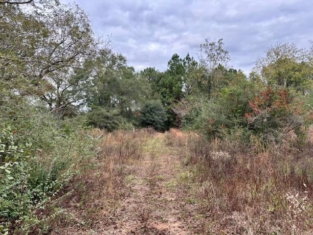 29597 Hammett Road Andalusia, AL 36421 - Photo 1 of 8 Gallery Image 1