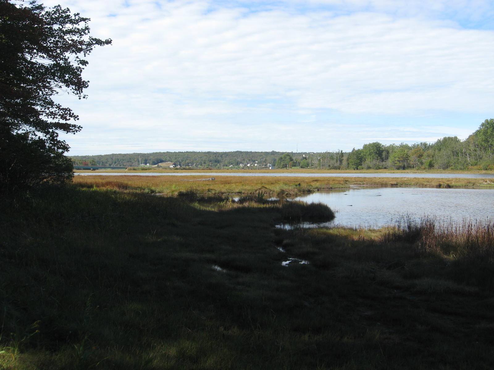 0 Wescogus Road Addison, ME 04606 - Photo 14 of 17 IMG_0012