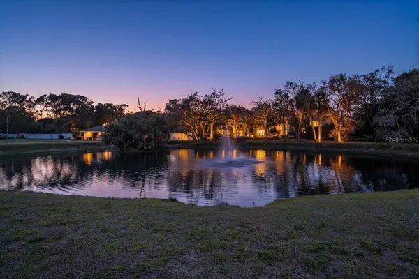 a view of a yard in a back yard
