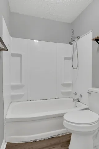a bathroom with a toilet and a bathtub