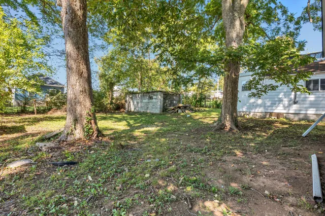 a view of a yard with plants and large trees
