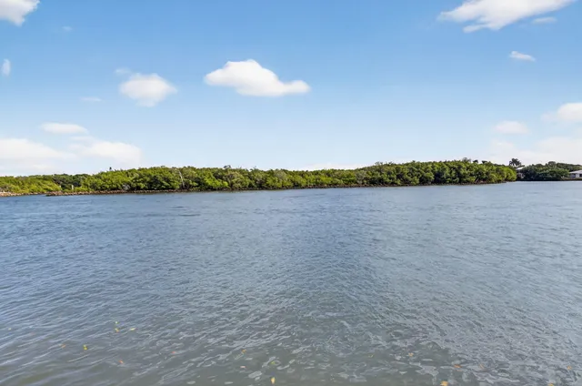 a view of a lake and a yard