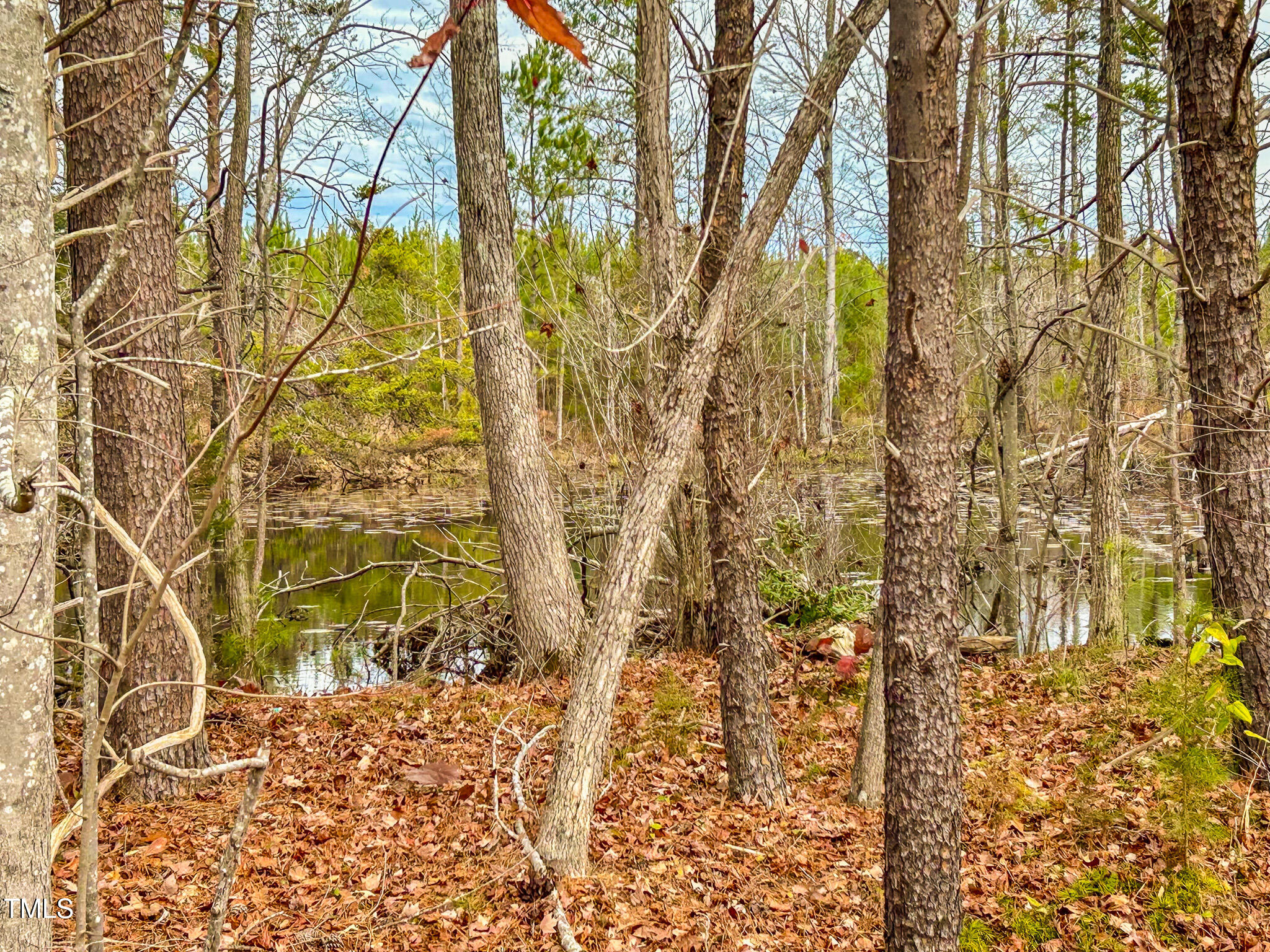 40-acres Thomas Humphries Road Roxboro, NC 27574 - Photo 6 of 13 IMG_0790