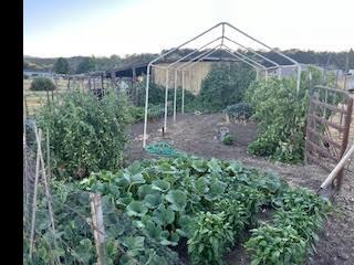4413 Merita Terrace Central Point, OR 97502 - Photo 28 of 28 garden