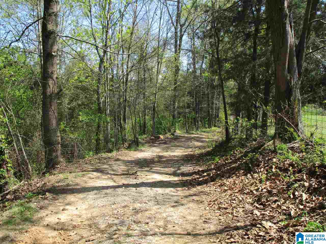 2553 Skyball Road Hayden, AL 35079 - Photo 24 of 33