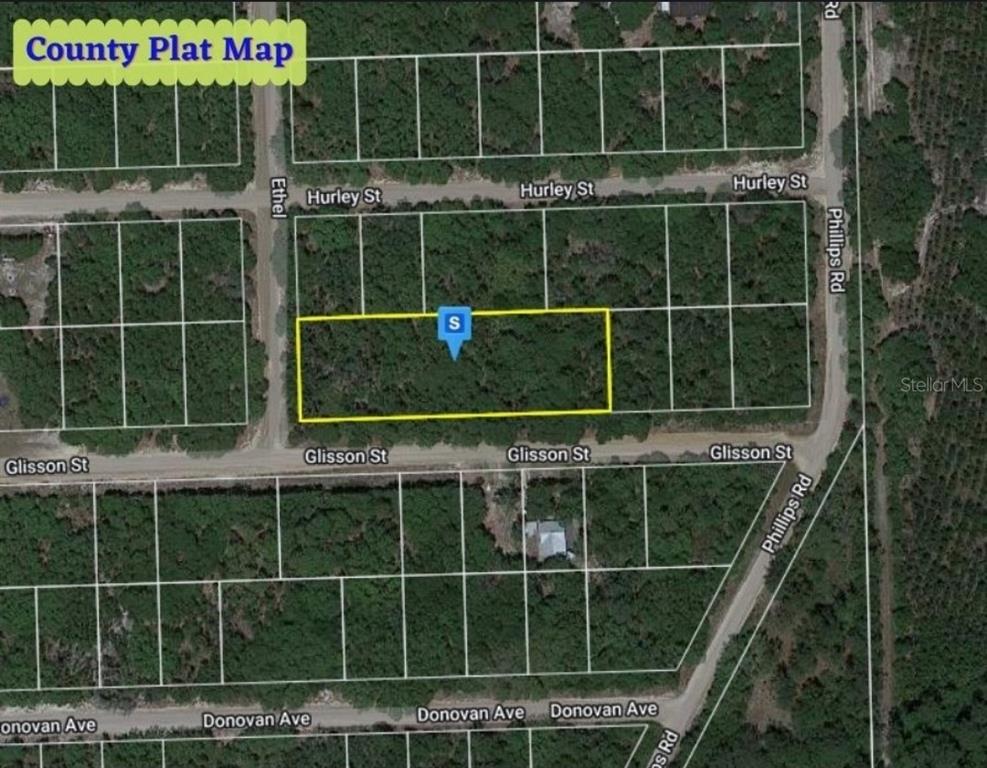 Tbd Glisson Street Interlachen, FL 32148 - Photo 1 of 1