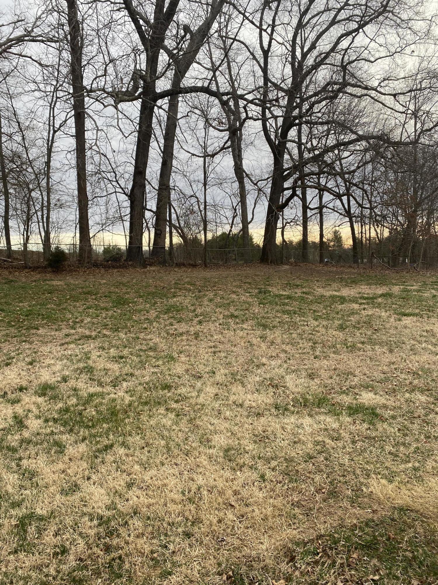 2746 Morgans Mill Road Goodview, VA 24095 - Photo 13 of 13 a view of outdoor space with trees